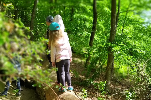 Wald- und Wiesentage